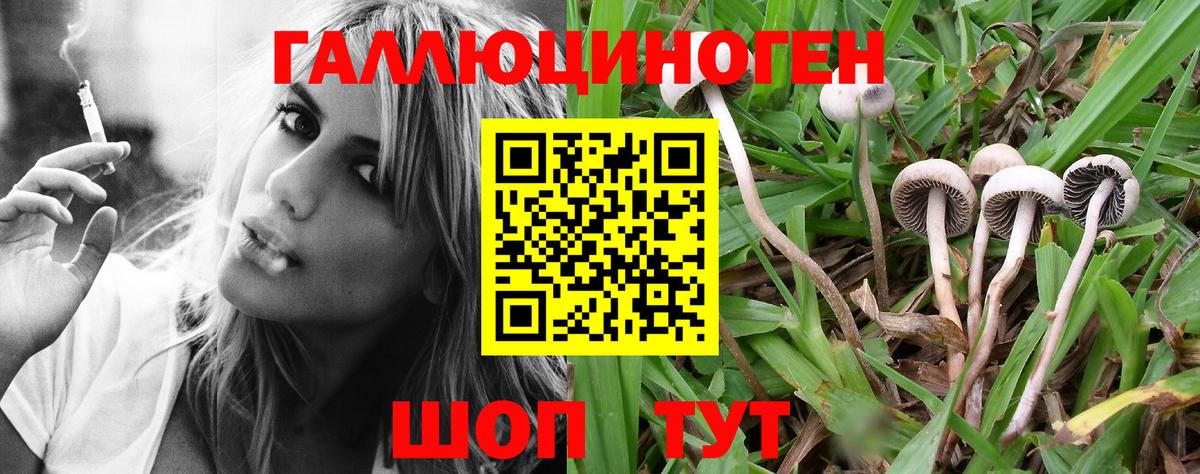 Псилоцибиновые грибы Magic Shrooms  Вход с VPN  Нефтекумск  Галлюциногенные грибы Psilocybe 