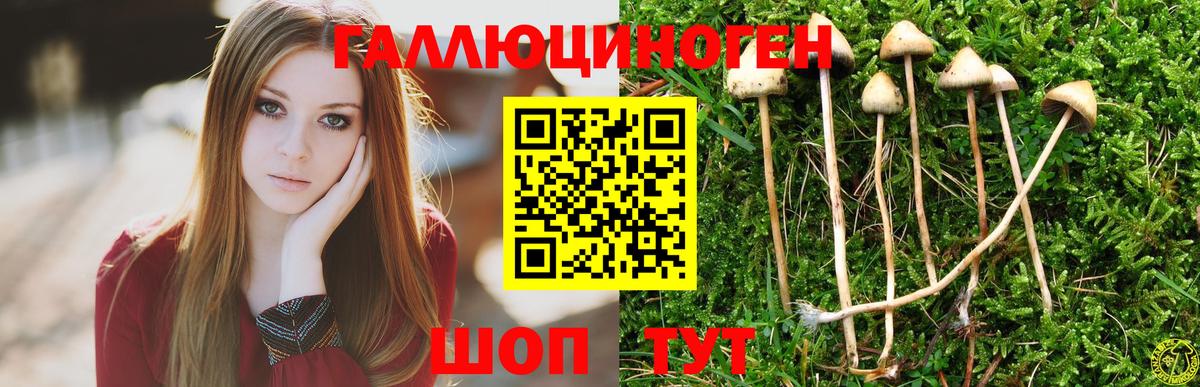 Псилоцибиновые грибы ЛСД Нефтекумск